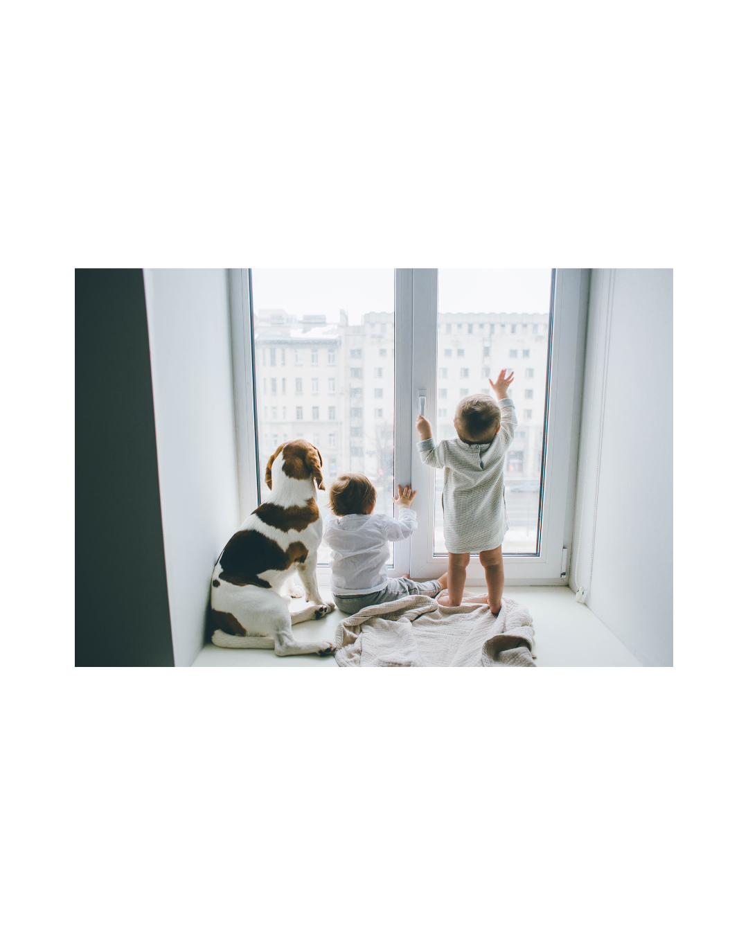 Are Impact Windows Worth It? Are Impact Windows a Good Investment?